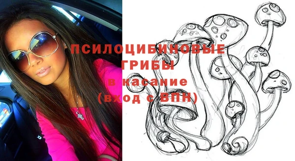 МДПВ Бородино