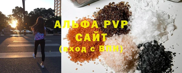 МДПВ Бородино