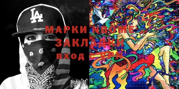 МДПВ Бородино
