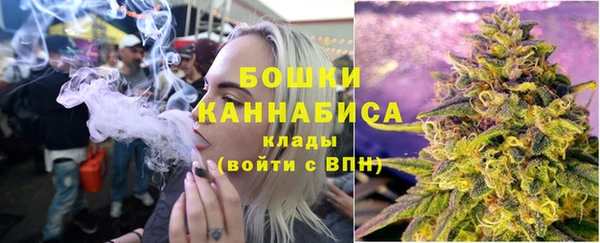МДПВ Бородино