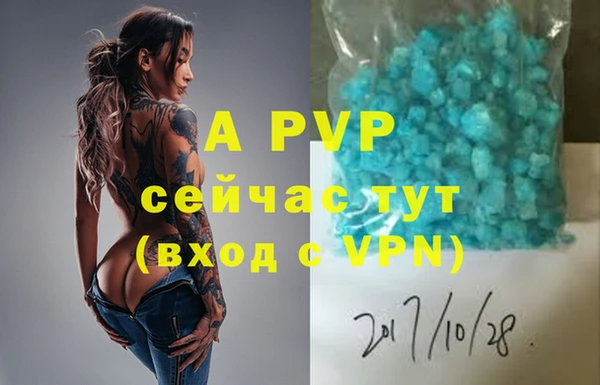 МДПВ Бородино