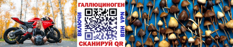 Купить закладки  Петров Вал  Галлюциногенные грибы мухоморы 